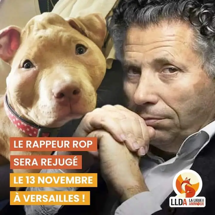 Le rappeur Rop fait appel de sa condamnation pour avoir maltraité son chien American Staffordshire Terrier de 4 mois, Texas. La Ligue Des Animaux poursuit sa plainte, représentée par Maître Gilles-William Goldnadel et Maître Jade Laurençon-Marcopoulos.