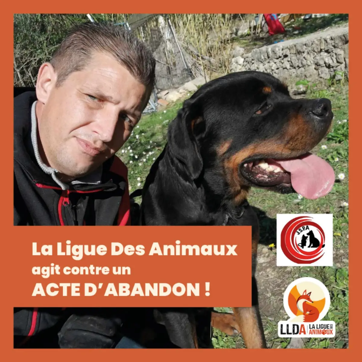 Un chien rottweiller retrouvé attaché, dénutri et désydraté. La Ligue Des Animaux se constitue partie civile.