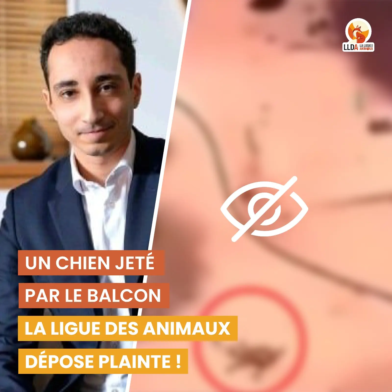 Un adolescent jete un chien par la fenêtre. La Ligue Des Animaux dépose plainte avec son avocat Maître Pierre Pélissier.