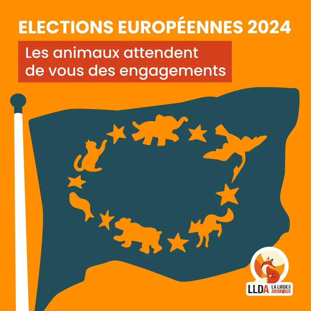 La Ligue Des Animaux lance sa charte de la condition animale à l'occasion des élections européennes.