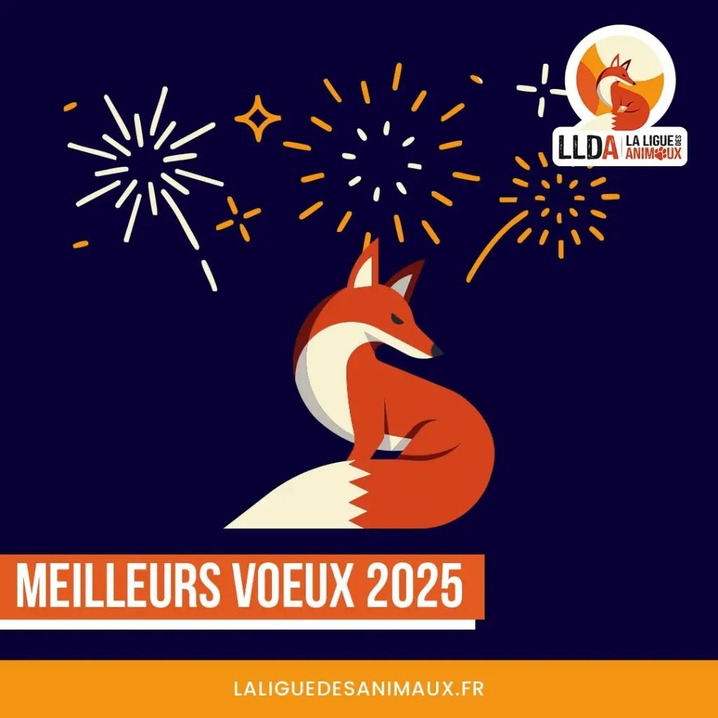 La Ligue Des Animaux vous souhaite une bonne année 2025