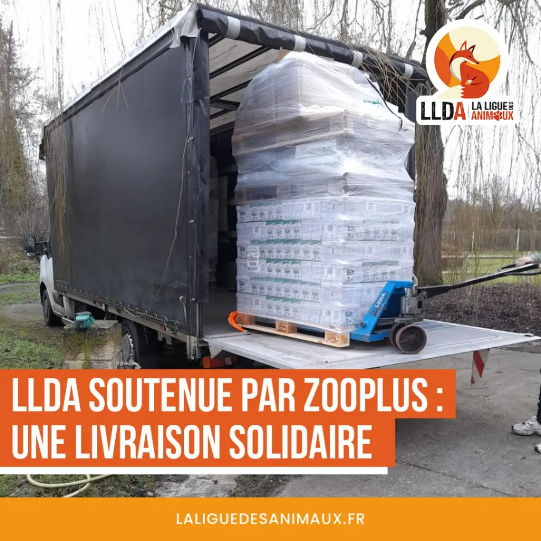 ZooPlus fait don à La Ligue Des Animaux de 800 kilos de croquettes et pâtées pour chiens et chats.