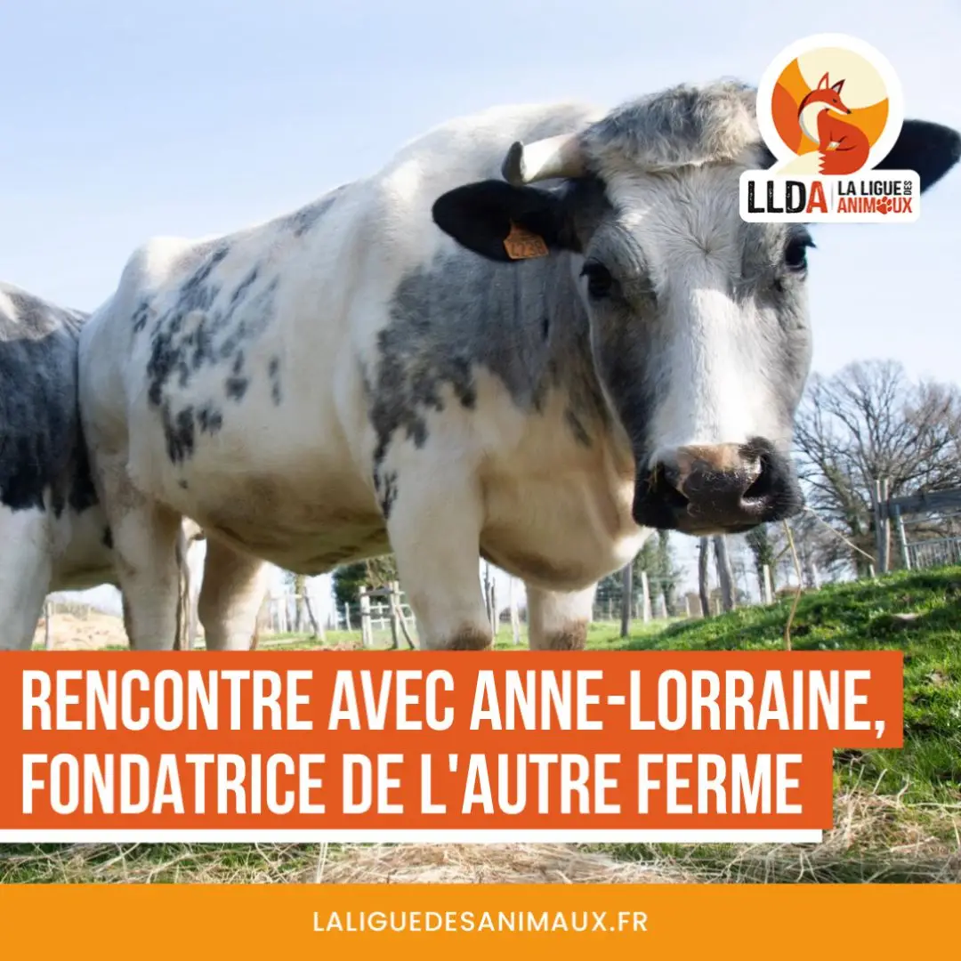 Rencontre avec la fondatrice de l'association L'Autre Ferme, Anne-Lorraine Vigouroux
